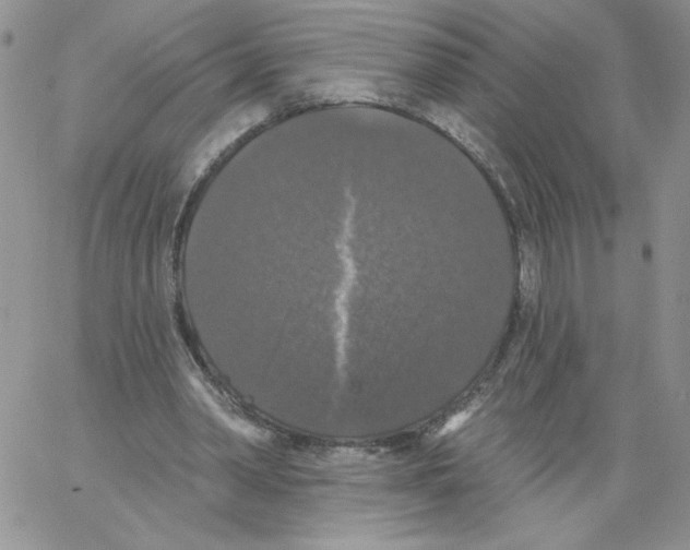 X0000066970390200604211912