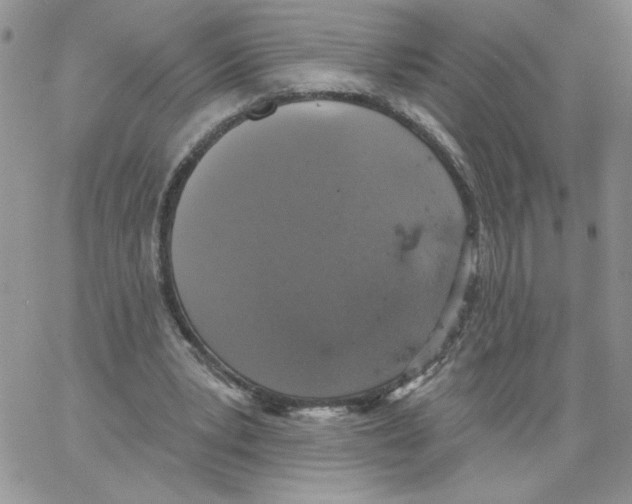 X0000066970391200604211912