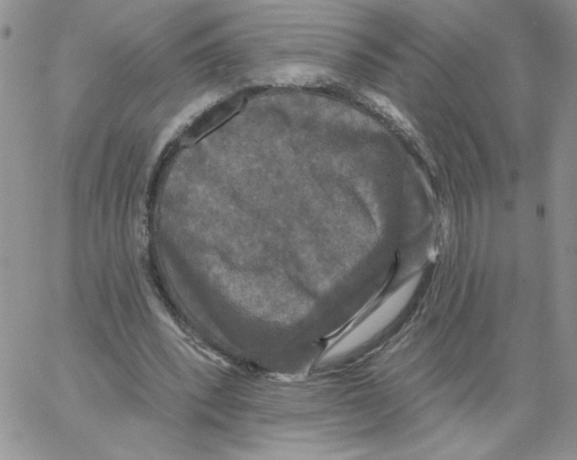 X0000066970392200604211912