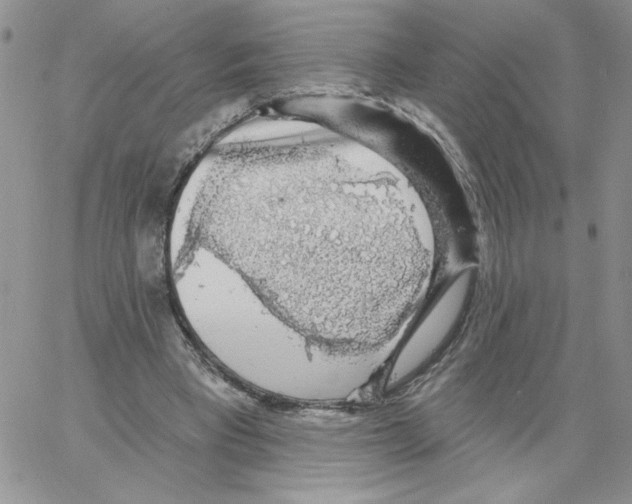 X0000066970393200604211912