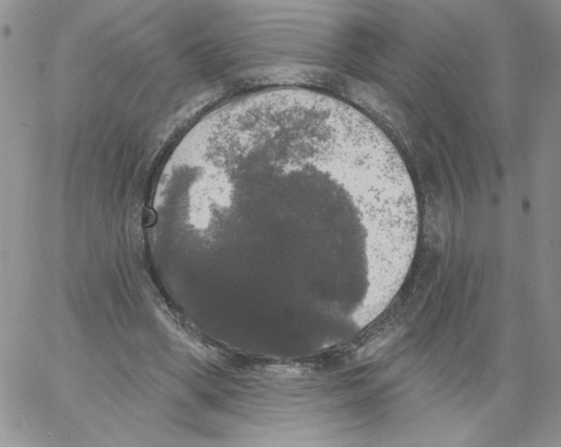 X0000066970394200604211912