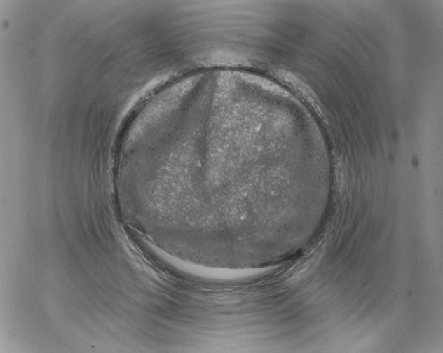 X0000066970395200604211912