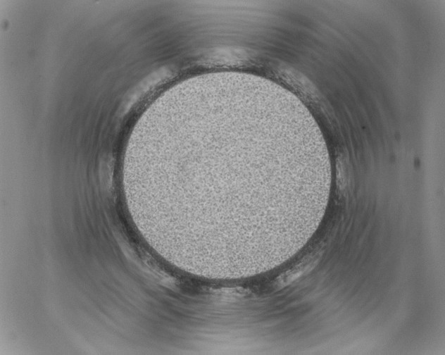 X0000066970396200604211912