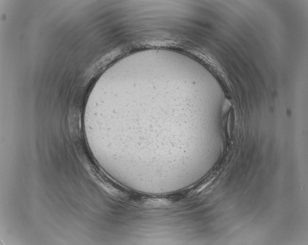 X0000066970397200604211912