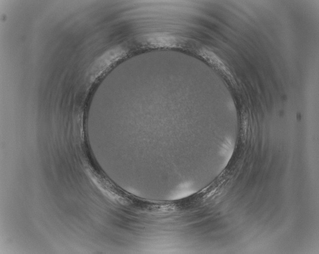 X0000066970398200604211912