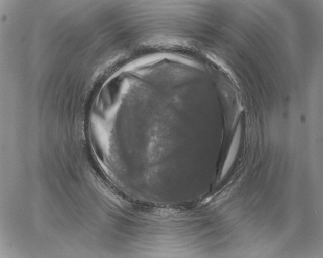 X0000066970399200604211912