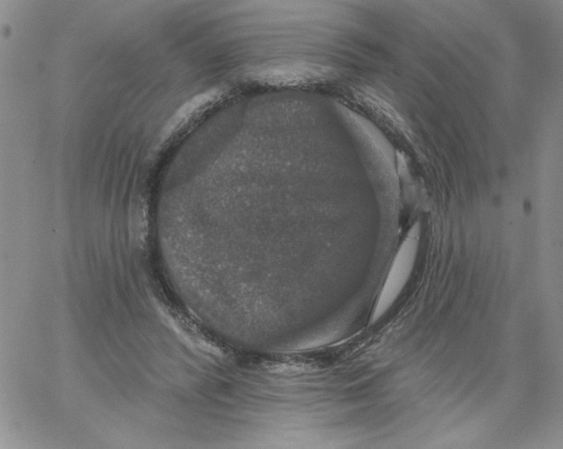 X0000066970400200604211912