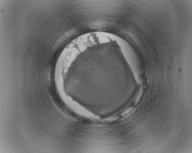 X0000066970404200604211911