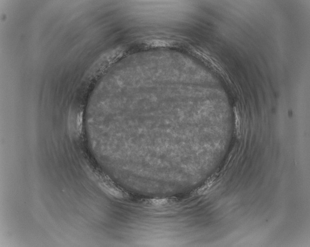 X0000066970406200604211911