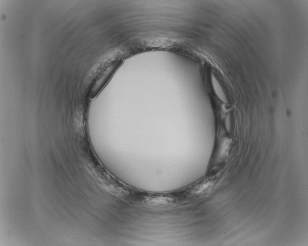 X0000066970407200604211911