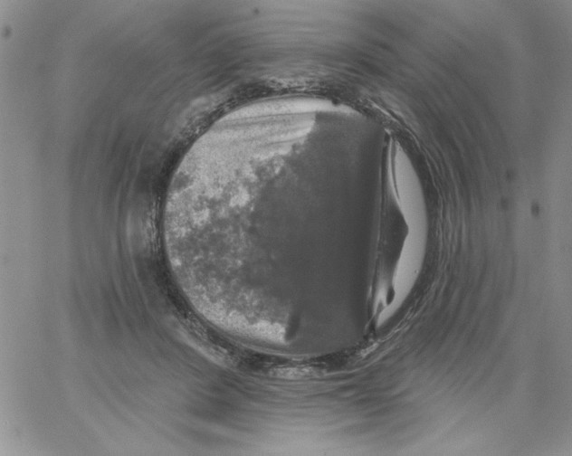 X0000066970408200604211911