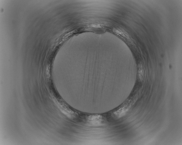 X0000066970410200604211911