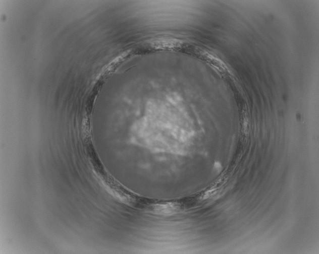 X0000066970411200604211911