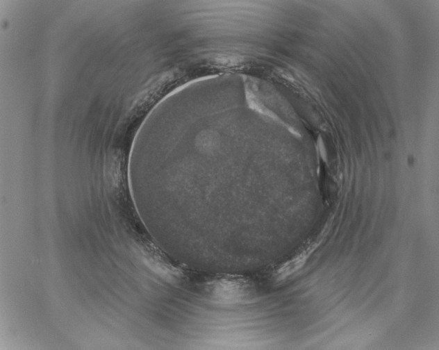 X0000066970412200604211911