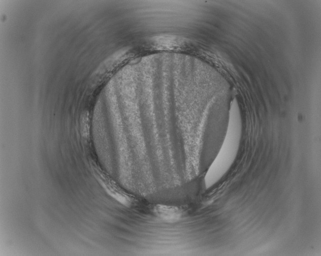 X0000066970413200604211911