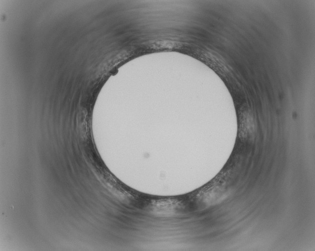 X0000066970414200604211911