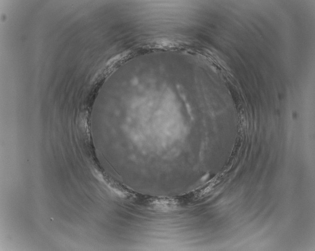 X0000066970415200604211911