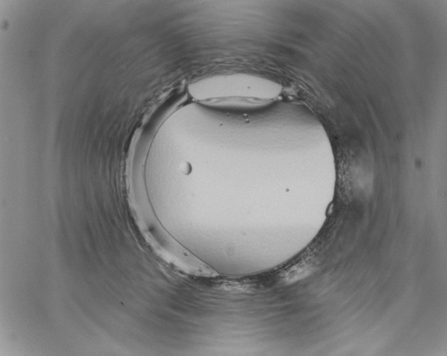 X0000066970416200604211911