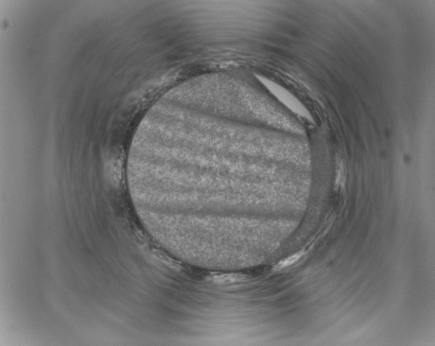 X0000066970417200604211911