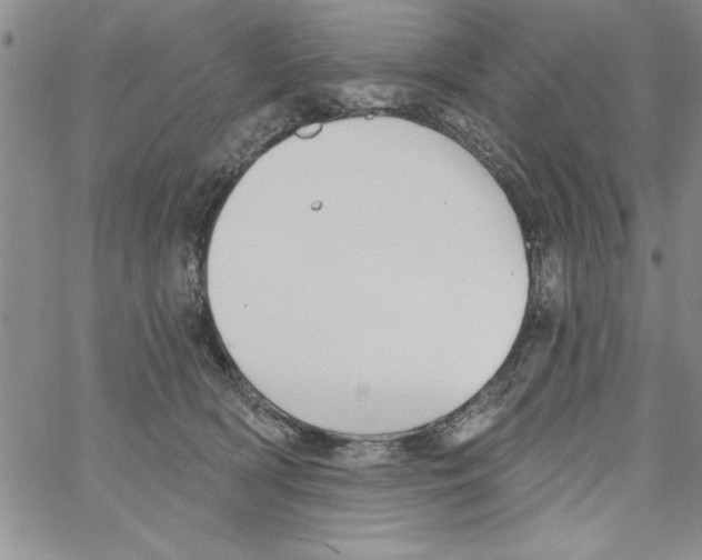 X0000066970418200604211911