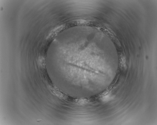 X0000066970419200604211911