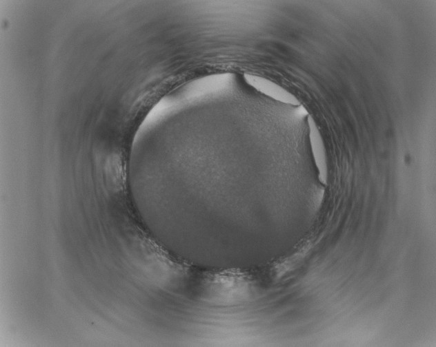 X0000066970420200604211911