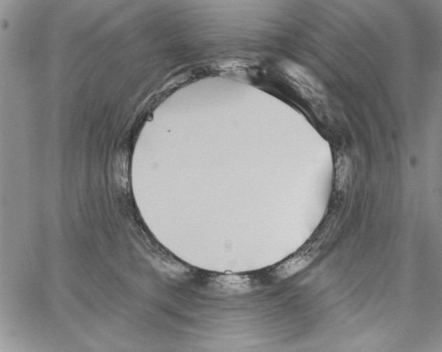 X0000066970421200604211911