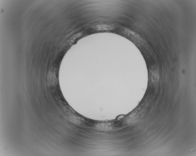 X0000066970422200604211911