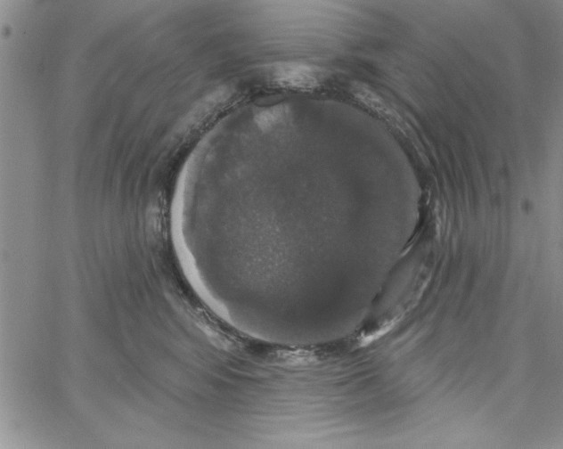 X0000066970424200604211911