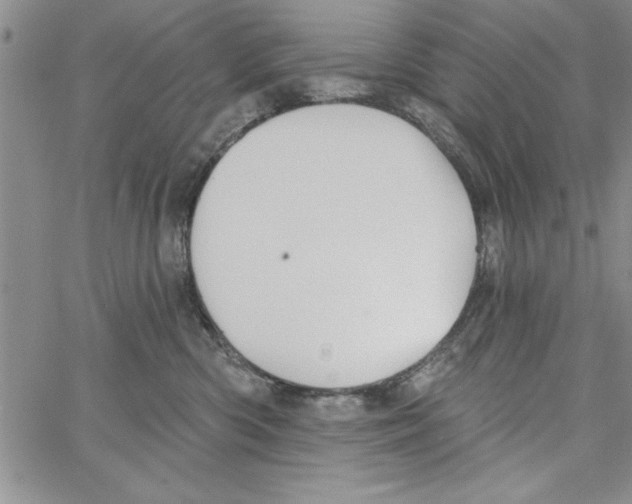 X0000066970426200604211911