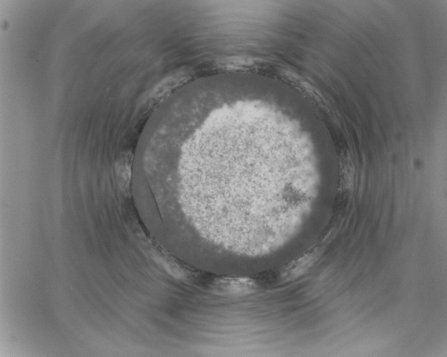 X0000066970427200604211911