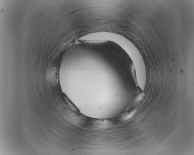 X0000066970428200604211911