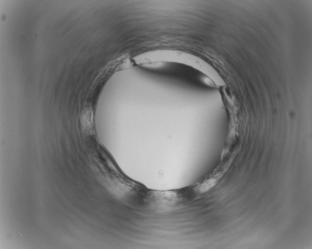 X0000066970429200604211911