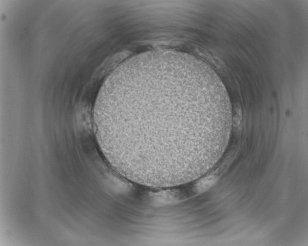 X0000066970430200604211911