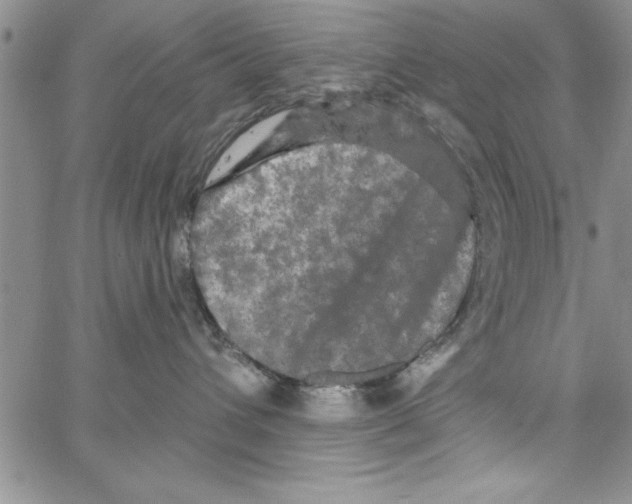 X0000066970432200604211911