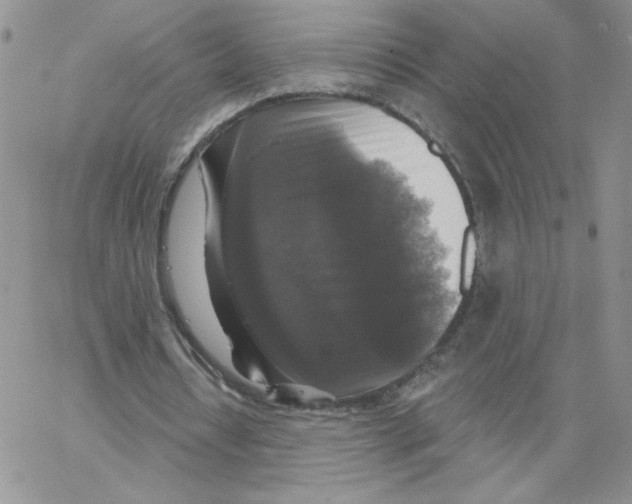 X0000066970434200604211910