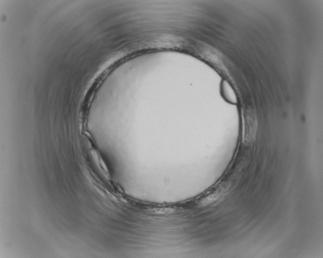 X0000066970435200604211910