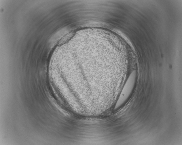 X0000066970437200604211910