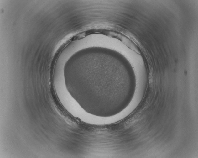 X0000066970438200604211910