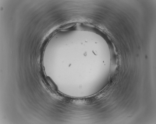 X0000066970440200604211910