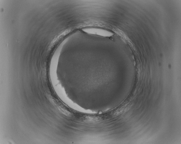 X0000066970442200604211910