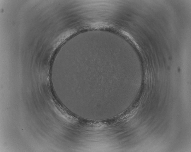 X0000066970443200604211910