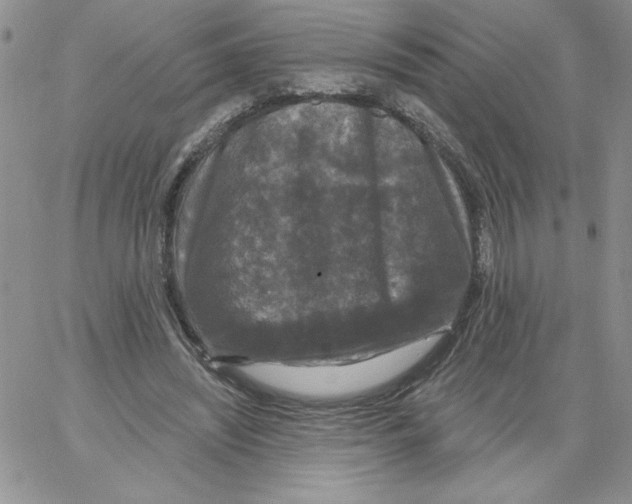 X0000066970444200604211910