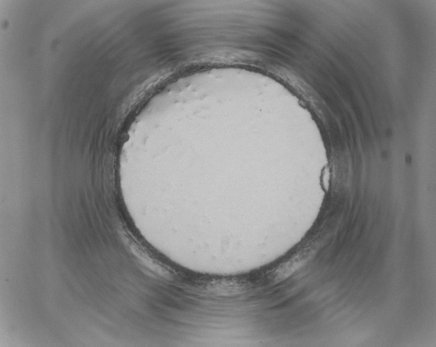 X0000066970445200604211910