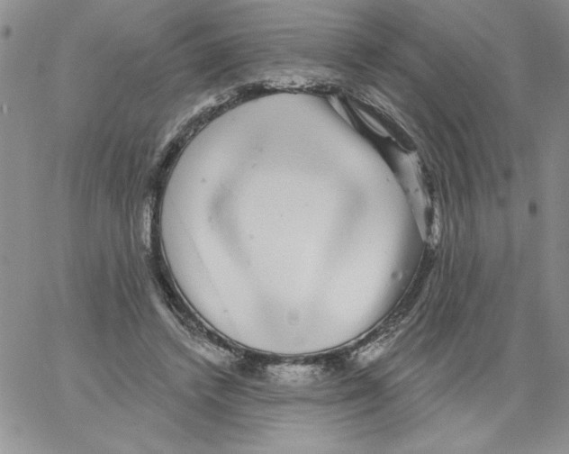 X0000066970448200604211910