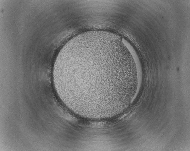 X0000066970450200604211910