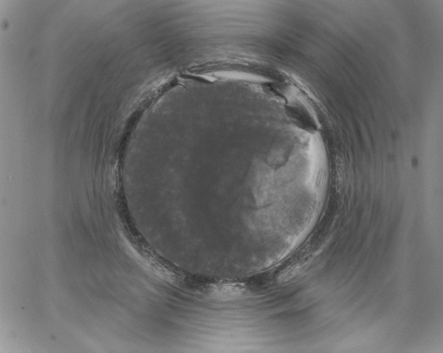 X0000066970451200604211910