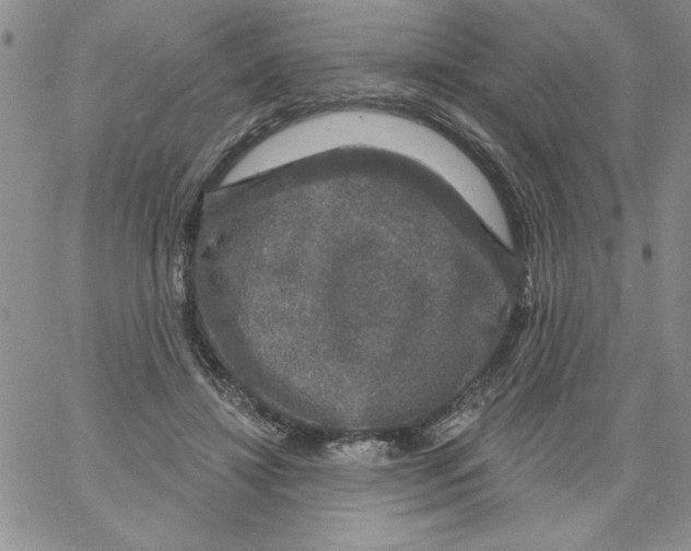 X0000066970452200604211911