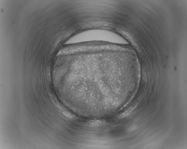 X0000066970453200604211911