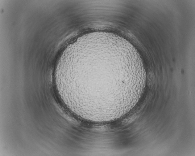 X0000066970454200604211911